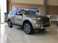 Ford Everest 2018 - Bán xe Ford Everest sản xuất 2018, màu vàng 