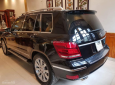 Mercedes-Benz GLK Class 2010 - Bán Mercedes-Benz GLK Class sản xuất 2010 màu đen, giá chỉ 810 triệu