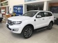 Ford Everest  Titanium Single Turbo 2.0L 2WD AT 2018 - Bán xe Ford Everest 2018, màu trắng