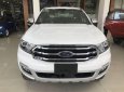 Ford Everest  Titanium Single Turbo 2.0L 2WD AT 2018 - Bán xe Ford Everest 2018, màu trắng