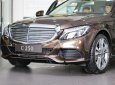 Mercedes-Benz C class  C250 2018 - Bán Mercedes C250 2018, màu nâu, xe đủ màu, giao ngay