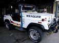 Jeep Wrangler 2002 - Cần bán gấp Jeep Wrangler năm 2002, màu trắng, nhập khẩu