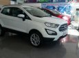 Ford EcoSport Ecosport   2018 - Bán Ford Ecosport 2018 giá từ 545 triệu LH: 0905 409 971