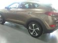 Hyundai Tucson   2018 - Bán xe Hyundai Tucson sản xuất năm 2018, màu nâu, giá chỉ 760 triệu