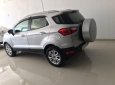 Ford EcoSport 2016 - Cần bán xe Ford EcoSport năm sản xuất 2016, màu bạc