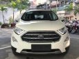 Ford EcoSport Titanium 2018 - Chỉ cần 200tr nhận ngay Ford Ecosport 2018 tặng dán phim