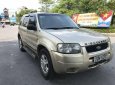 Ford Escape   2002 - Bán xe Ford Escape sản xuất năm 2002, màu vàng, 162tr