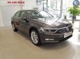 Volkswagen Passat Bluemotion 2018 - Volkswagen Passat Bluemotion 2018 - xe nhập khẩu đức giá tốt, hỗ trợ trả góp 90%/ hotline: 090.898.8862