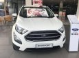 Ford EcoSport 2018 - Bán ô tô Ford EcoSport năm sản xuất 2018, màu trắng 