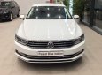 Volkswagen Passat 2017 - Bán Volkswagen Passat Bluemotion sản xuất 2017, màu trắng, nhập khẩu, giảm giá khủng những ngày cuối tháng