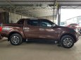 Nissan Navara   SL 2.5MT 2016 - Bán ô tô Nissan Navara SL 2.5MT 2016, màu nâu, máy dầu, số sàn, 2 cầu điện