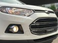 Ford EcoSport 2016 - Cần bán xe Ford EcoSport năm 2016, màu trắng 