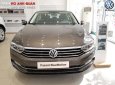 Volkswagen Passat Bluemotion 2018 - Volkswagen Passat Bluemotion 2018 - xe nhập khẩu đức giá tốt, hỗ trợ trả góp 90%/ hotline: 090.898.8862