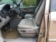 Kia Carnival GS 2009 - Cần bán xe Kia Carnival GS sản xuất 2009, màu vàng số tự động giá cạnh tranh