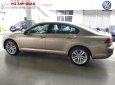 Volkswagen Passat GP 2018 - Volkswagen Passat GP nâu vàng 2018 chính hãng giá tốt, hỗ trợ trả góp 90%/ hotline: 090.898.8862