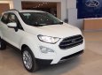 Ford EcoSport Titanium 2018 - Chỉ cần 200tr nhận ngay Ford Ecosport 2018 tặng dán phim