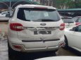 Ford Everest Titanium 2.0L 4x4 AT 2018 - Bán ô tô Ford Everest Titanium 2.0L 4x4 AT đời 2018, màu trắng 