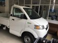 Suzuki Super Carry Pro 2018 - Xe tải Suzuki Pro thùng kín inox mới 100%, nhập khẩu Indonesia, sự lựa chọn hàng đầu của mọi người