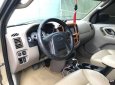 Ford Escape   2002 - Bán xe Ford Escape sản xuất năm 2002, màu vàng, 162tr