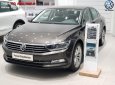 Volkswagen Passat Bluemotion 2018 - Volkswagen Passat Bluemotion 2018 - xe nhập khẩu đức giá tốt, hỗ trợ trả góp 90%/ hotline: 090.898.8862