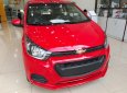 Chevrolet Spark Duo Van 1.2 MT 2018 - Bán Chevrolet Spark Van Duo 2018 - Nhỏ gọn, tiện lợi khi đi trong phố