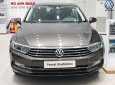 Volkswagen Passat Bluemotion 2018 - Volkswagen Passat Bluemotion 2018 - xe nhập khẩu đức giá tốt, hỗ trợ trả góp 90%/ hotline: 090.898.8862