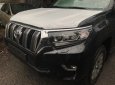 Toyota Prado VX 2.7L 2018 - Cần bán Toyota Prado VX 2.7L sản xuất năm 2018, màu đen, nhập khẩu