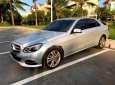 Mercedes-Benz E class E250 2014 - Bán Mercedes E250 đời 2014, màu bạc