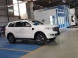 Ford Everest   2018 - Bán Ford Everest năm sản xuất 2018, màu trắng, xe nhập