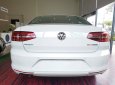 Volkswagen Passat 2017 - Bán Volkswagen Passat Bluemotion sản xuất 2017, màu trắng, nhập khẩu, giảm giá khủng những ngày cuối tháng