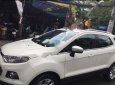 Ford EcoSport 2014 - Bán Ford EcoSport đời 2014, màu trắng 