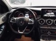 Mercedes-Benz C class C300 2016 - Bán Mercedes C300 sản xuất 2016