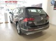 Volkswagen Tiguan Allspace 2018 - Bán Tiguan Allspace 2018 màu đen - chính hãng Volkswagen, giá tốt, đủ màu, giao ngay, Hotline 090.898.8862