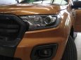 Ford Ranger Wildtrack 2.0 Bi-Turbo 4x4 2018 - Bán xe Ford Ranger 2.0 Bi-Turbo 4x4, 2018, màu cam, nhập khẩu, xe đẹp giá tốt giao ngay