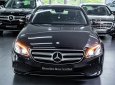 Mercedes-Benz E class E250  2017 - Cần bán Mercedes E250 đời 2018, màu đen, mới 99%, chỉ 20 km, và 2% thuế trước bạ