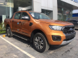 Ford Ranger 2.0 biturbo 2018 - Ford Ranger 2.0 biturbo, xe có sẵn giao ngay, hỗ trợ trả góp lãi tốt, thủ tục nhanh ngọn