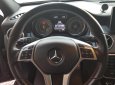 Mercedes-Benz GLA-Class 2015 - Bán Mercedes-Benz GLA-Class sản xuất 2015 đăng ký tháng 12/2015, màu nâu nhập khẩu nguyên chiếc tại Đức, xe gia đình đi