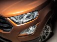 Ford EcoSport 1.5L AT Ambiente 2018 - Cần bán Ford EcoSport Trend, Titanium đời 2018, màu nâu, giá chỉ 570 triệu