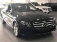 Mercedes-Benz E class  E250  2018 - Bán ô tô Mercedes E250 năm sản xuất 2018, màu đen