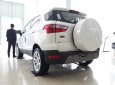 Ford EcoSport 2018 - Xe đủ màu giao ngay, bán ô tô Ford EcoSport sản xuất 2018, màu trắng, 580tr