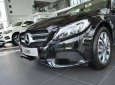 Mercedes-Benz C class C200  2018 - Bán xe Mercedes C200 đời 2018, màu đen