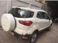 Ford EcoSport 2014 - Bán Ford EcoSport đời 2014, màu trắng 