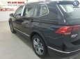 Volkswagen Tiguan Allspace 2018 - Bán Tiguan Allspace 2018 - chính hãng Volkswagen, giá tốt, đủ màu, giao ngay, Hotline 090.898.8862