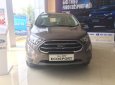 Ford EcoSport Titanium 2018 - Khuyến mại lên tới 40 triệu, Ford EcoSport Titanium sản xuất năm 2018, màu xám (ghi)