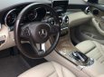 Mercedes-Benz GLC-Class  GLC 250  2016 - Bán xe Mercedes GLC 250 sản xuất 2016, màu đen