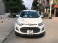 Ford EcoSport 2014 - Gia đình cần bán xe Ford Ecosport đời 2014, xe đẹp xuất sắc