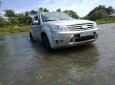 Ford Escape   2010 - Xe Ford Escape đời 2010, màu bạc bán rẻ