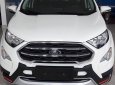 Ford EcoSport Titanium 2018 - Bình Phước bán xe Ford Ecosport Titanium, giá thấp nhất. LH 0898.482.248