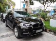 BMW X6 AT 2015 - Bán BMW X6 AT năm sản xuất 2015, màu nâu, nhập khẩu nguyên chiếc