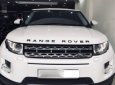 LandRover Evoque 2015 - Bán LandRover Evoque sản xuất năm 2015, màu trắng, nhập khẩu nguyên chiếc